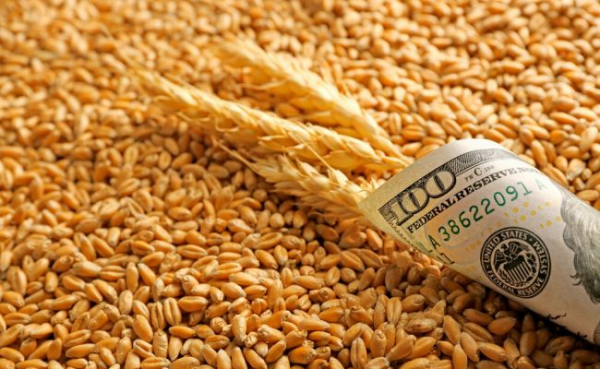 Цены на российскую пшеницу достигли рекордного уровня