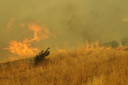 Площадь природного пожара в Ростовской области выросла до ста гектаров