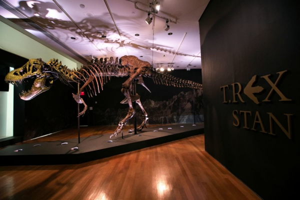   На аукционе Christie's скелет тираннозавра продан за рекордную сумму 