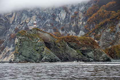 Названа возможная причина гибели морских животных на Камчатке